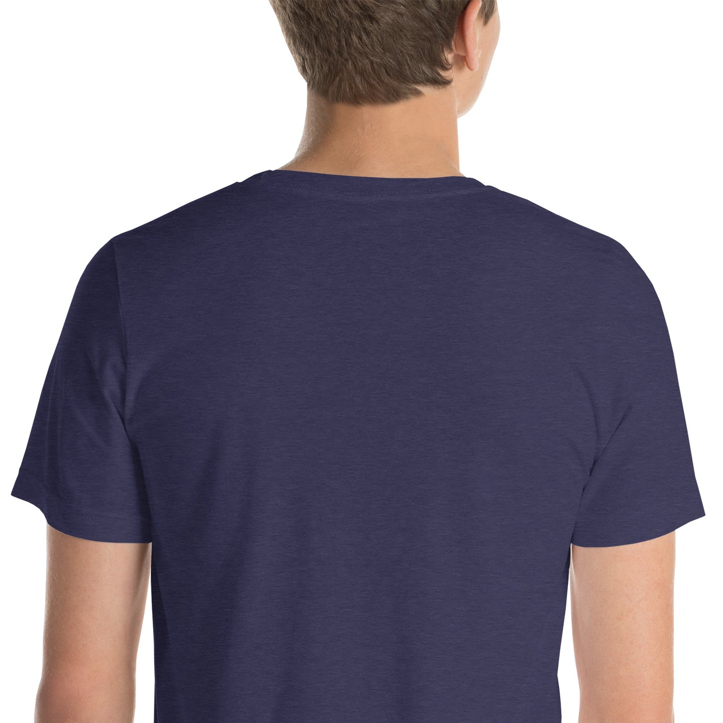 Roseate Spoonbill Unisex t-shirt