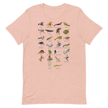 Animal Alphabet Unisex t-shirt