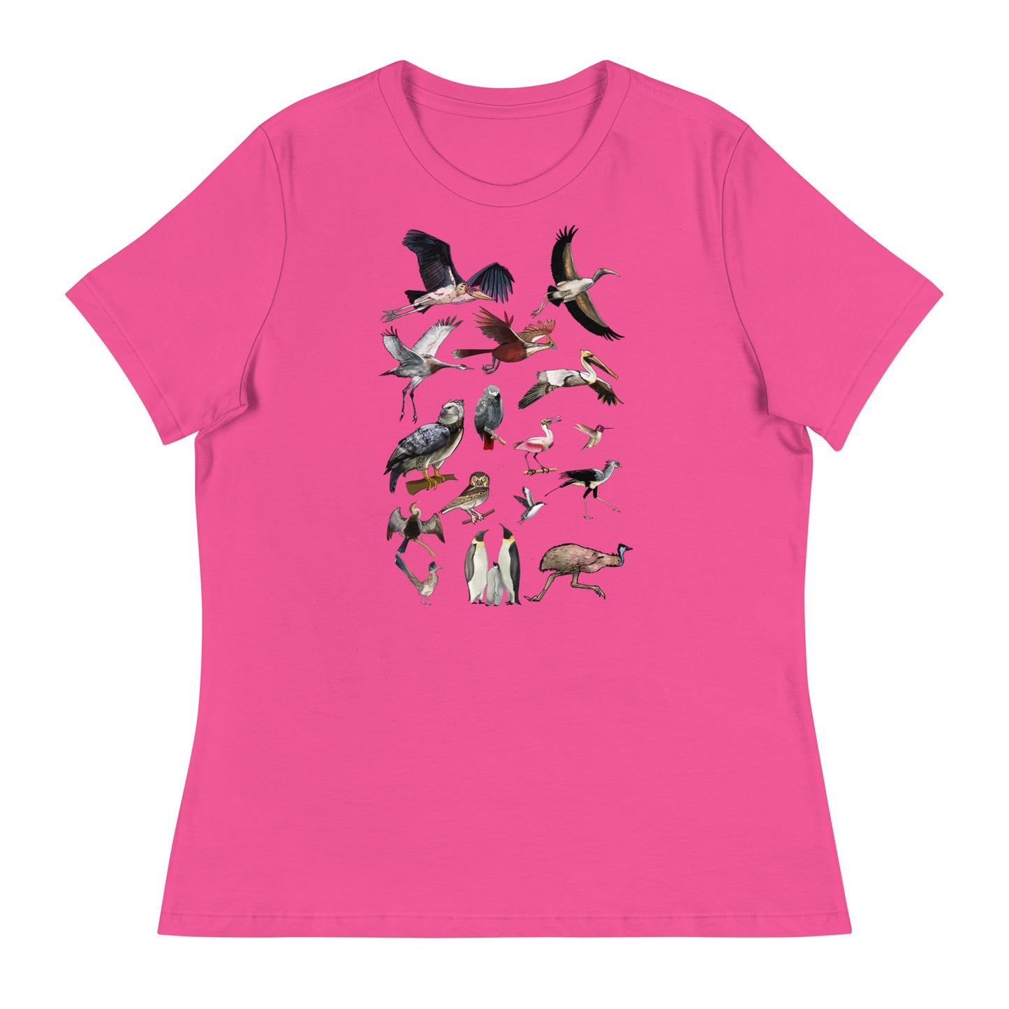 Birds Birds Birds! Women's Relaxed T-Shirt