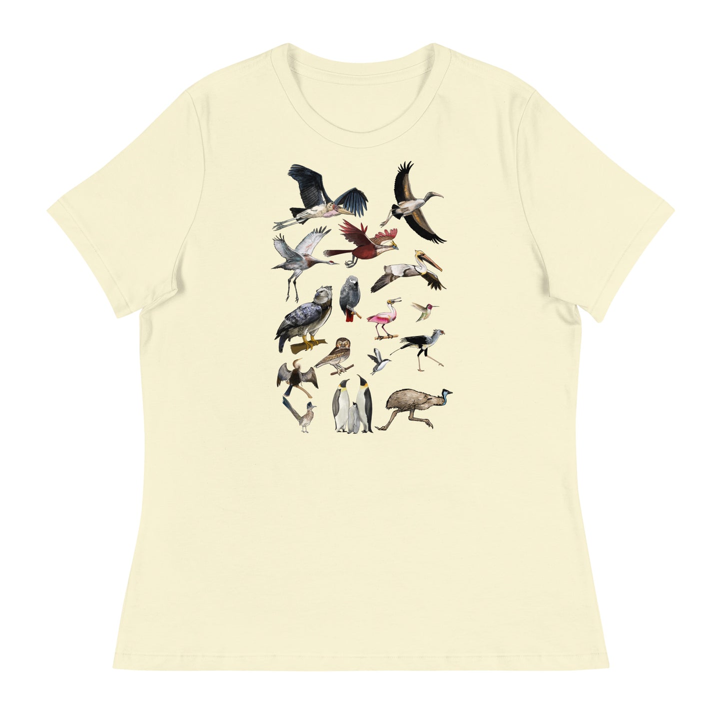 Birds Birds Birds! Women's Relaxed T-Shirt